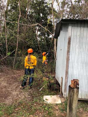 Sara McDonald and Hannah Gibbs work to remove trees damaged by Hurricane Michael.