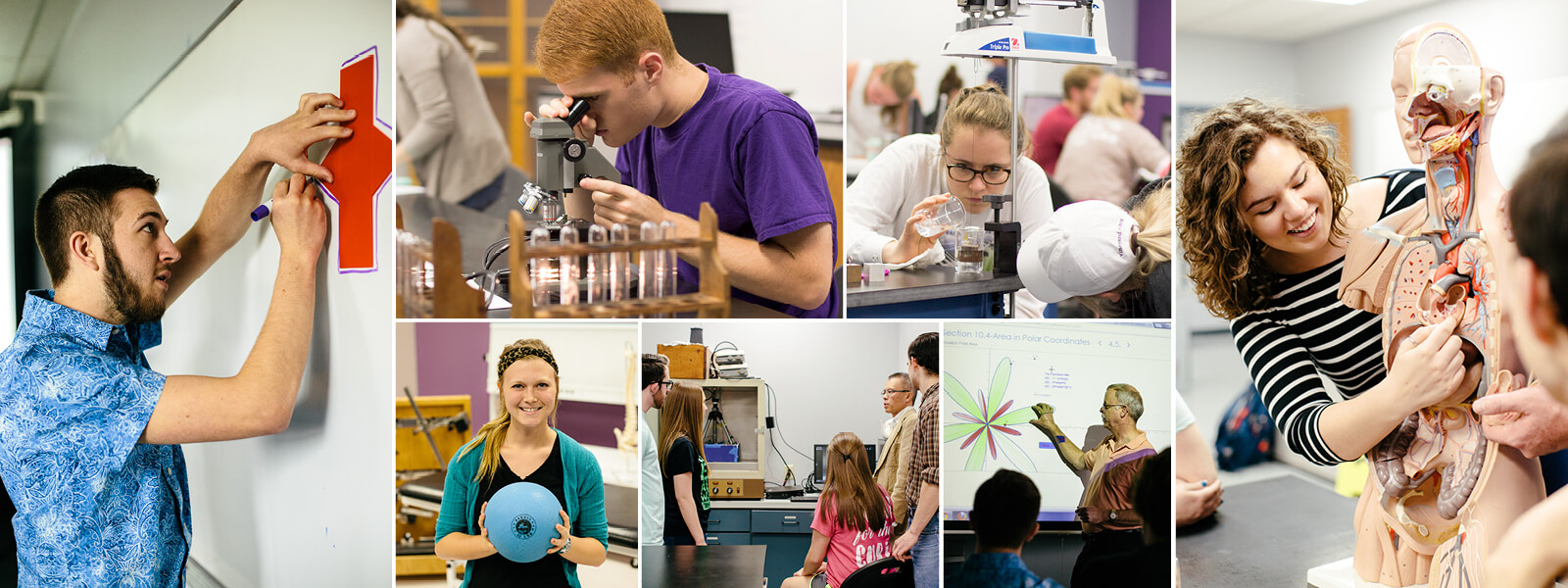 collage of photos showing students at work in biology, chemistry, physical therapy, and math settings