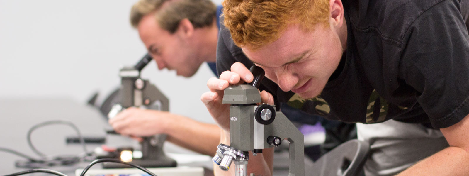 students looking through microscopes