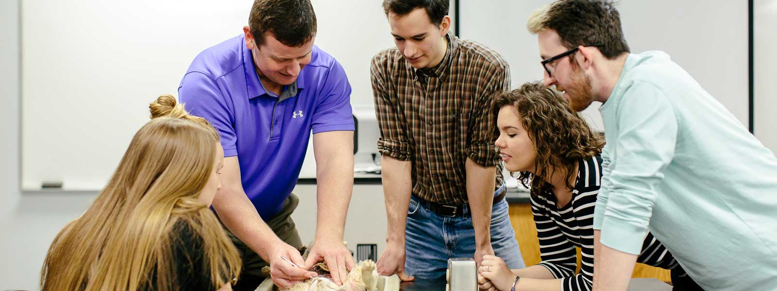 professor works on biology dissection with four students observing